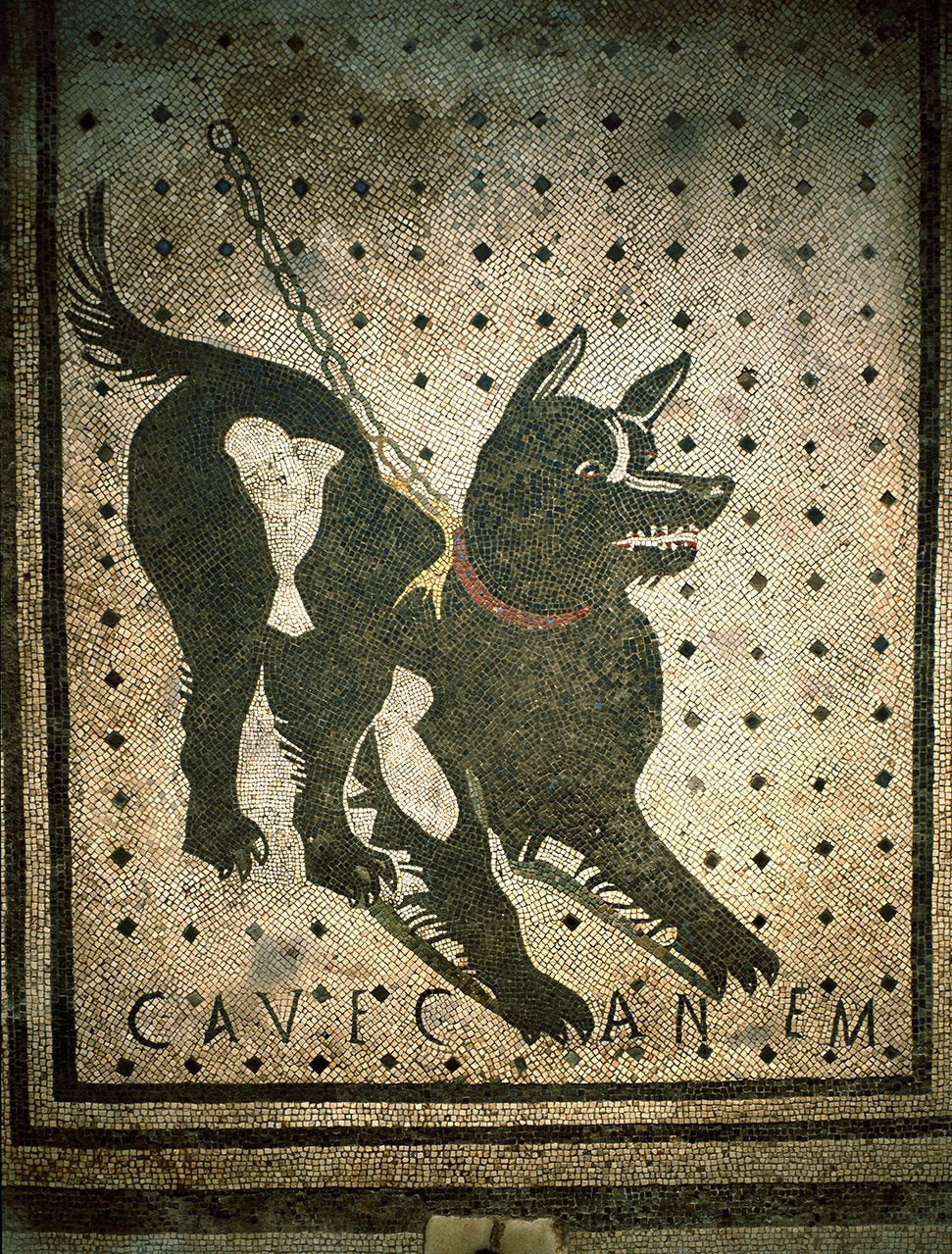 Cave Canem (Beware of the dog) Mosaic 66 x 66 cm - I century B.C. from Pompeii-Museum Shop Italy