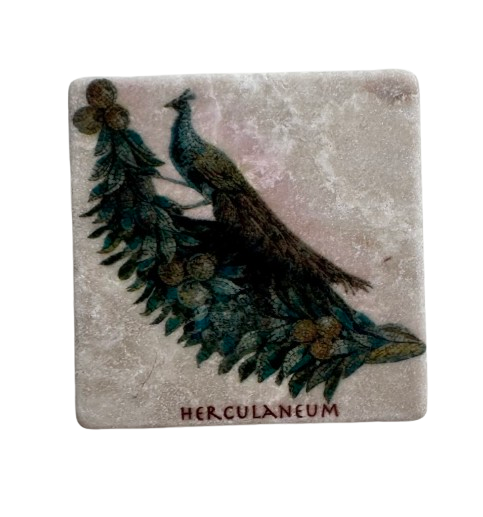 Peacock Marble Magnets Herculaneum