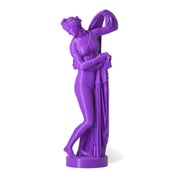 Statua Venere Afrodite Callipigia viola, visuale frontale