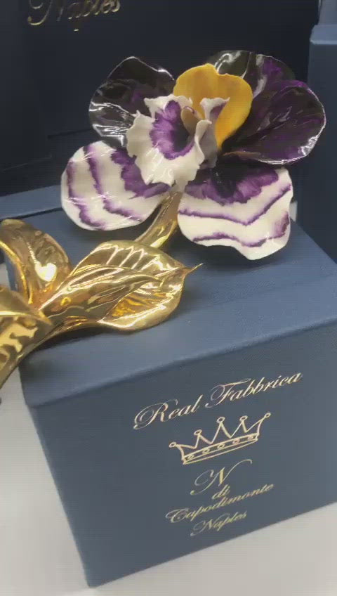 Video Orchid made of fine porcelain at the Royal Factory of Capodimonte